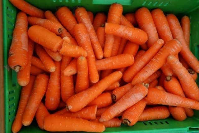 Rainbow Carrots