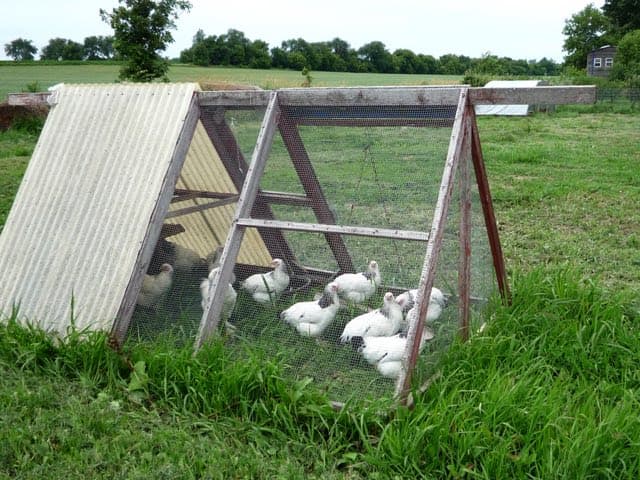 Heritage Poultry Co logo