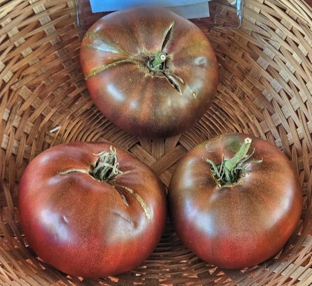 Organic Tomatoes